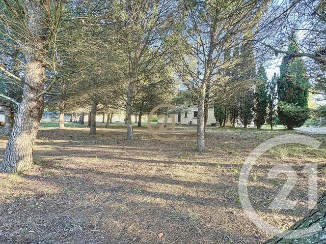 Maison &agrave; vendre - 6 pi&egrave;ces - 260 m2 - Loupian - 34 - LANGUEDOC-ROUSSILLON